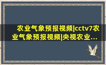 农业气象预报视频|cctv7农业气象预报视频|央视农业...